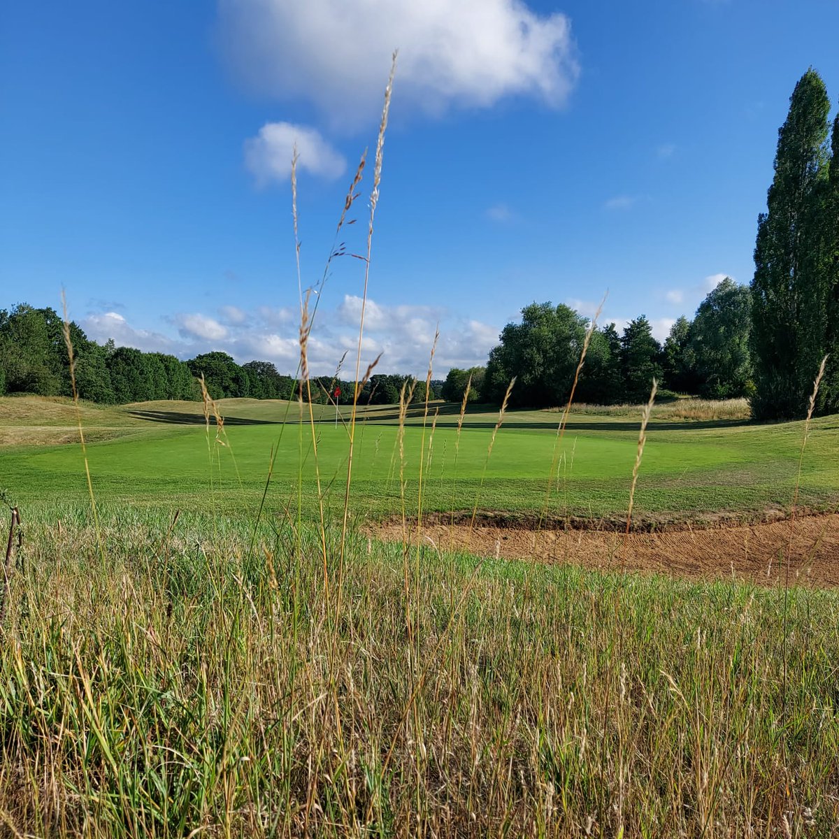 MilfordGreens tweet media