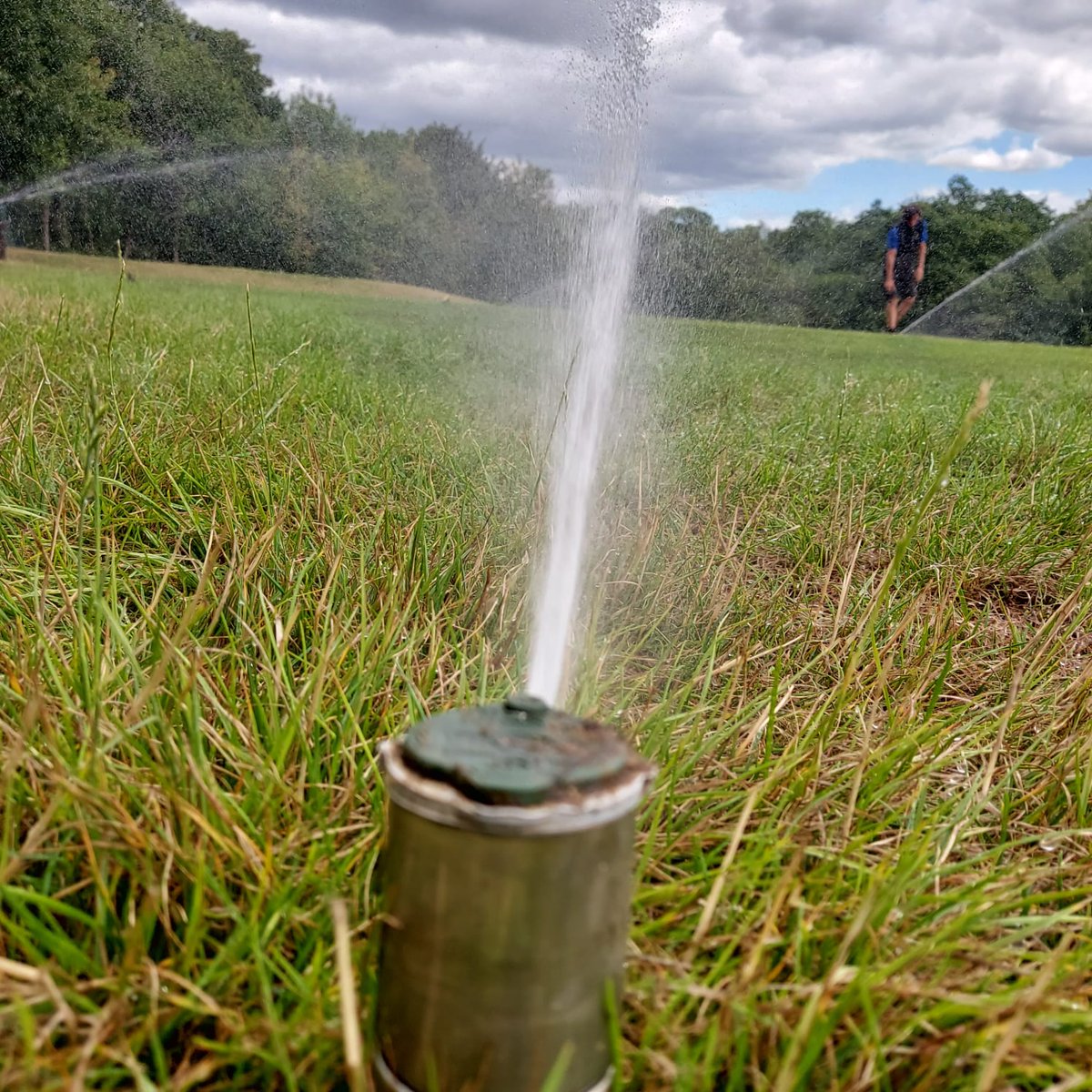 MilfordGreens tweet media