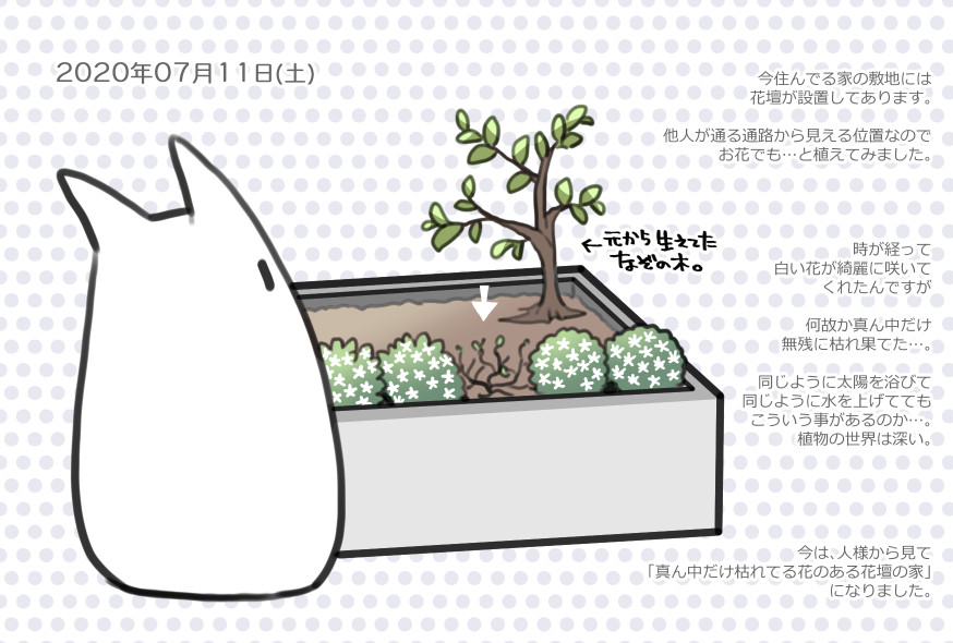 今日の絵日記です🥀 