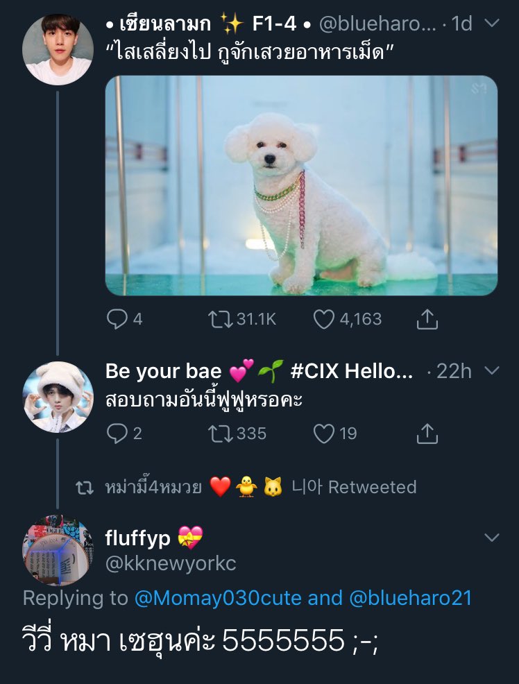 ( ・̀▿・́ ) ||| 🐥🐻 tweet media