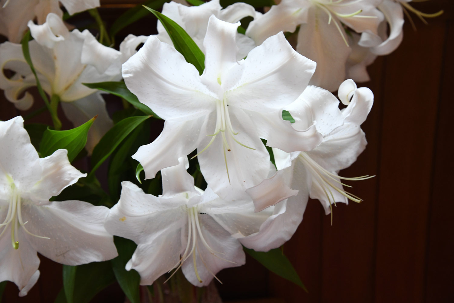 海上自衛隊呉地方総監部 公式 なおカサブランカ Uss Casablanca Acv Cve 55 というアメリカ海軍護衛空母があったそうです 艦名はモロッコのカサブランカに因んで命名されたそうです カサブランカはスペイン語で 白い家 という意味で米国ホワイト