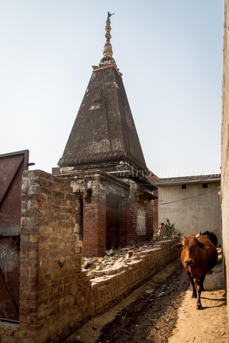 49•One more ruined Hindu temple in Eminabad, Gujranwala.
