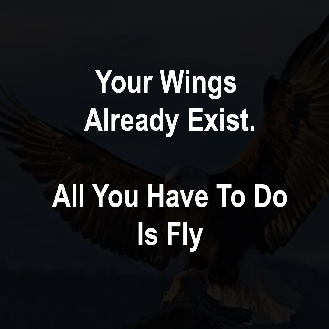 jovanloock's tweet photo. Your wings already exist. All you have to do is fly.

#ondernemerschap #businessmasters #sales #traffic #funnels #zelfstandige #eigenbedrijf #marketing #klanten #leads #persoonlijkeontwikkeling #zzp #onlinemarketing #onlinesales https://t.co/VQlXDw19c8