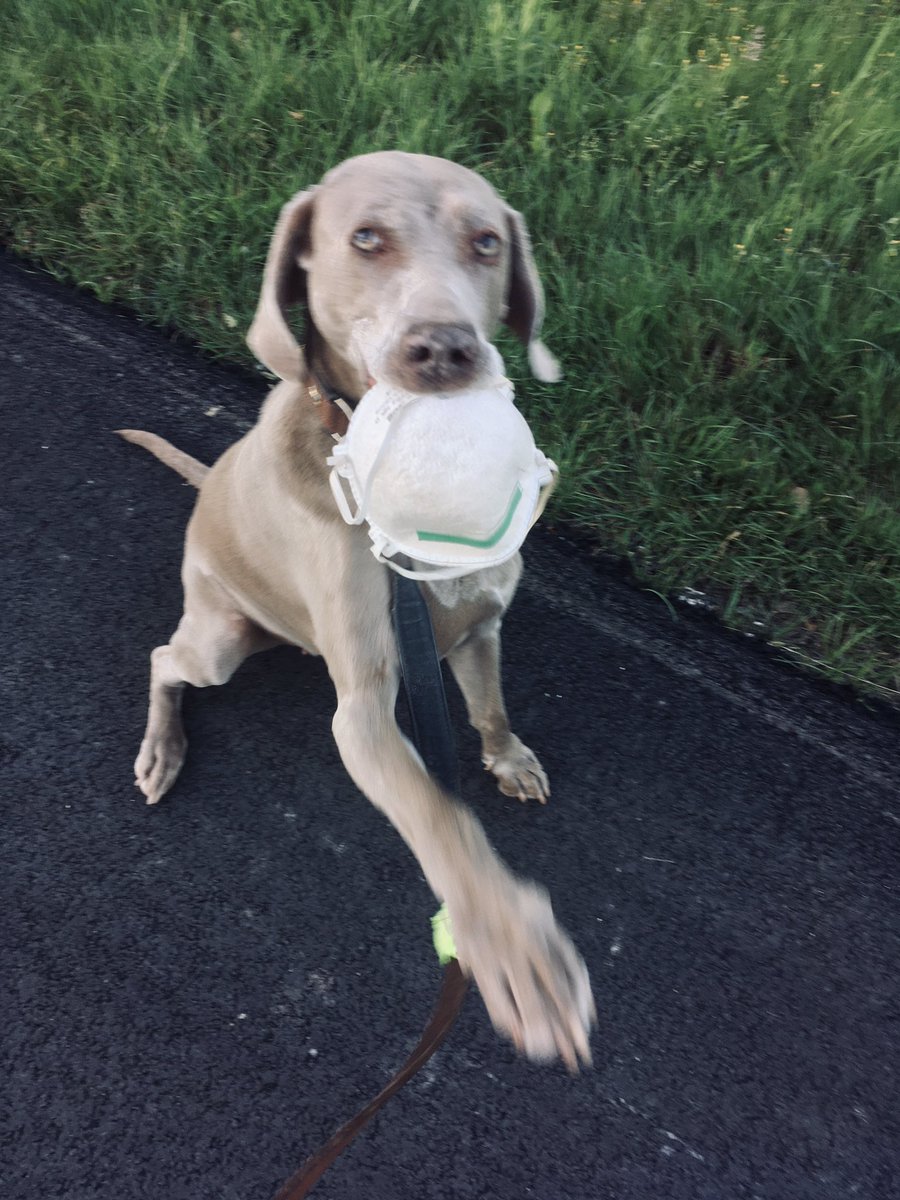 Vanaf vandaag verplicht😜