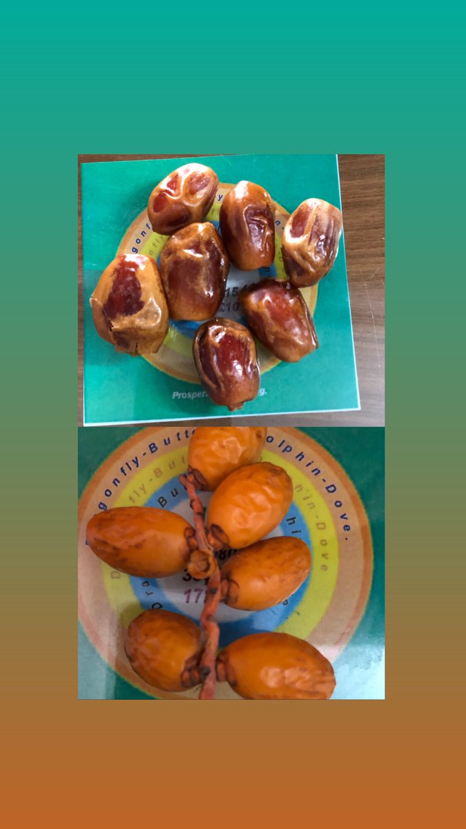 mehranshu's tweet photo. Wonderfully delicious, #dates are packed with an impressive list of #phyotnutrients, #vitamins, and #minerals .They are a powerhouse of energy.
#solublefibre
#insolublefibre
#fructose
#dextrose
#magnesium
#iron
#aphrodasiac
#dateseeds
#ramadan
#rawdates
#HealthyFood https://t.co/6xZb4MSgMk