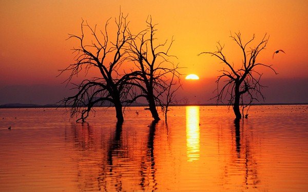 i_iide's tweet photo. My sun sets to rise again.

พระอาทิตย์ของฉันตกเพื่อที่จะขึ้นอีกครั้ง

#คําคมชีวิต #คําคมภาษาอัง���ฤษ #คําคม #แคปชั่น #แคปชั่นภาษาอังกฤษ #แคปชั่นโดนๆ https://t.co/lMP450KV3I