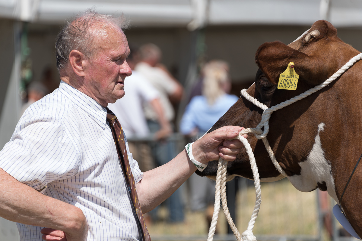 dave_lumb's tweet photo. A few from @_GLAShow which should have been held today https://t.co/HxtMOsdhkz