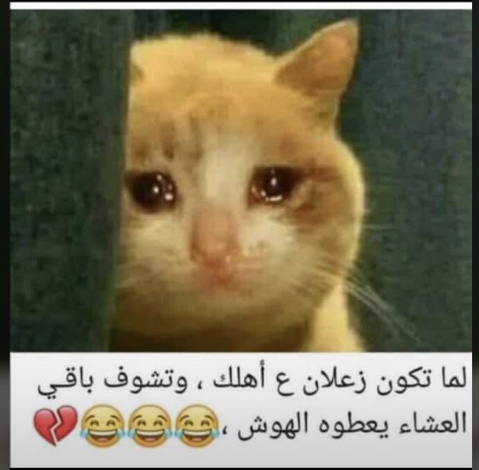 محد قالك تزعل قبل العشاء 😂