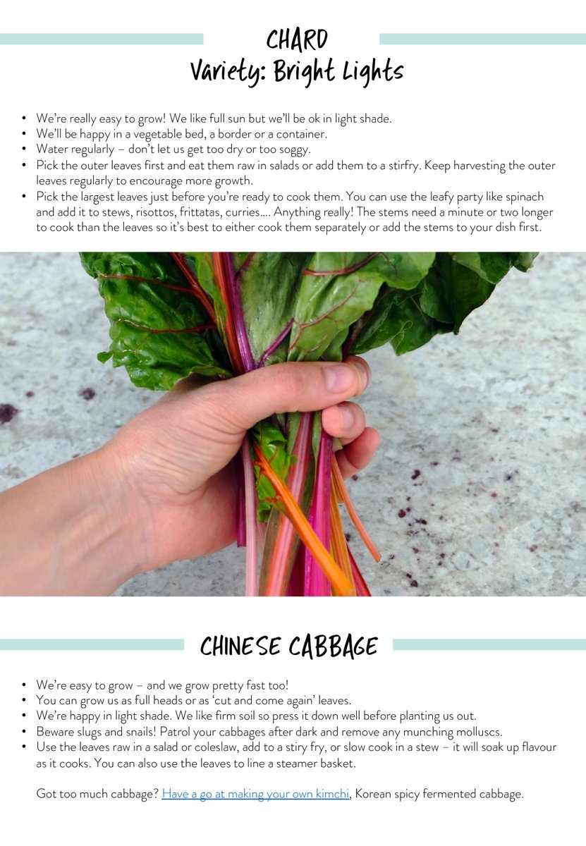 BeMoreSquirrel's tweet image. Get our easy #growingguide - including advice about different plants we&apos;ve been giving away - it&apos;s been updated to include the plants in this week&apos;s giveaway too!

Sign up here: buff.ly/3dVTcyl

Or click here direct download: bit.ly/growing-guide

#StayHomeGrowYourOwn