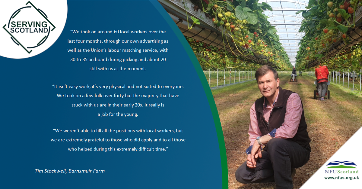 Do you know where your strawberries come from?
On what should have been the Wimbledon finals today, why not treat yourself to some Scottish strawberries.
Read the story behind Barnsmuir Farm's strawberry harvest &amp; how the local community stepped into help nfus.org.uk/news/blog/serv…