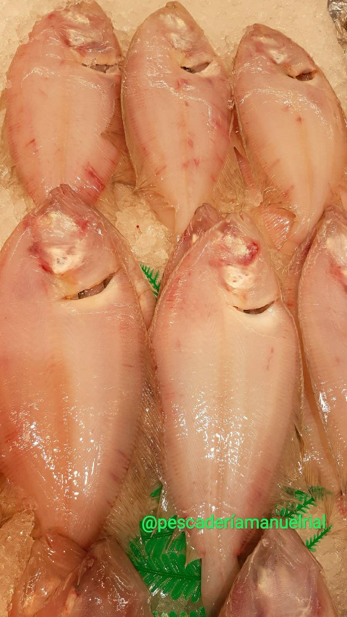 PescaderiaRial's tweet photo. ¡Buenos días! Finalizamos la semana con un mostrador donde encontrarás variedad del mar. #frescocalidad #desde1983 #manuelrial #EnCarrefourExpress #felizsábado https://t.co/l0ifGgf0SR