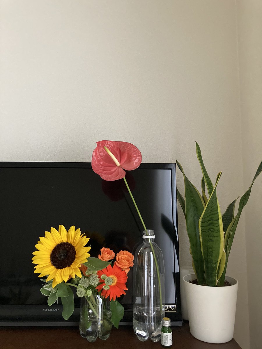 花瓶がない時 家にあるもので代用する方法は 花束 一輪挿しの飾り方 Daiyou
