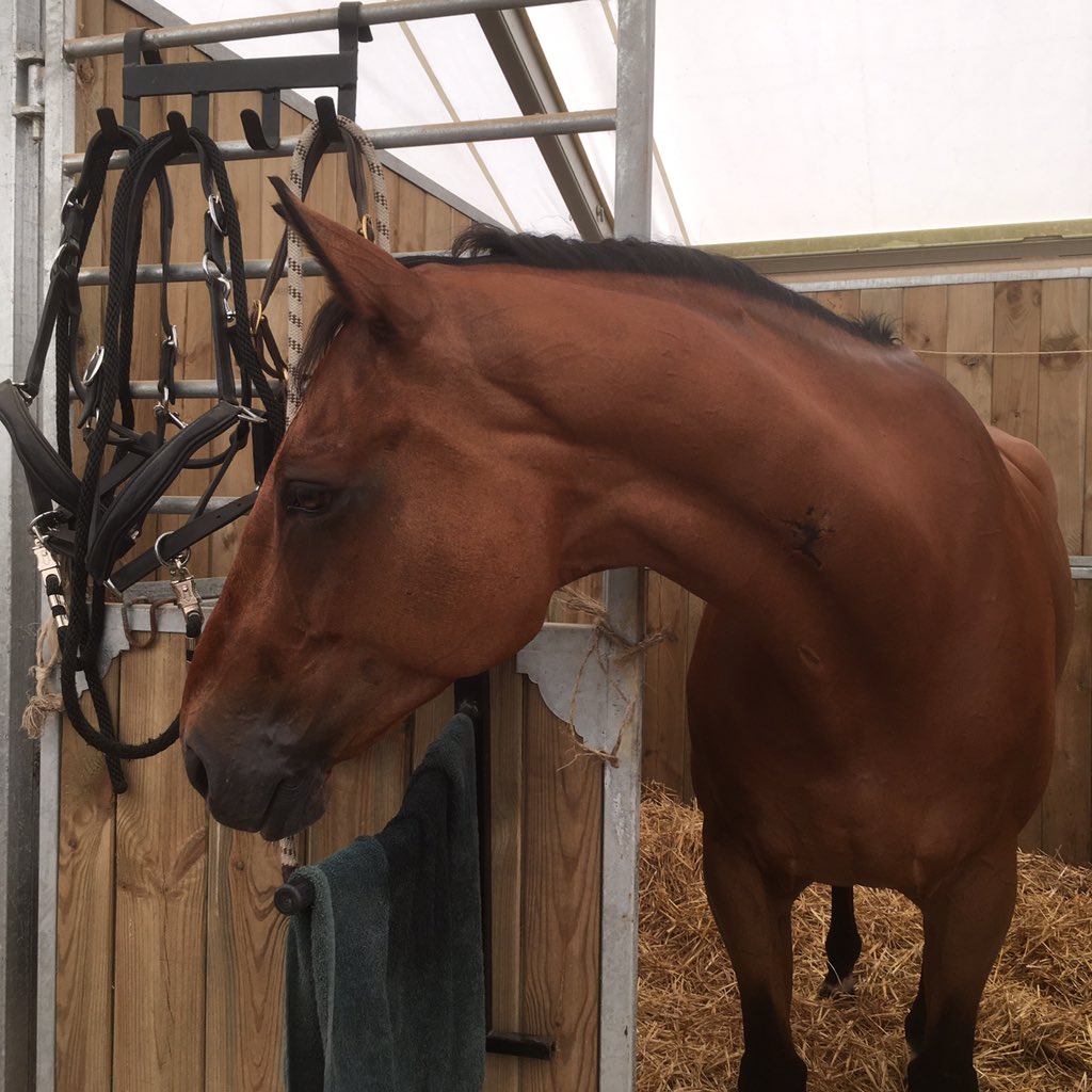 c_vollaire's tweet photo. Côté barns #Jardy #Tritonafaim https://t.co/4cTB0dbJ4e