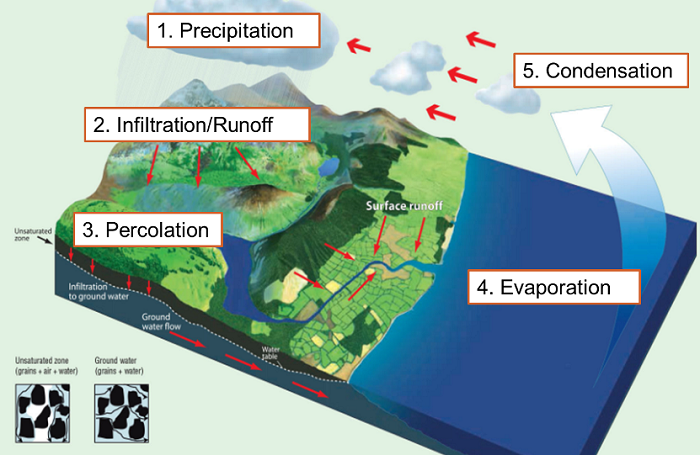 The water cycle is a series of flows & storage components from rain to evaporation. Soil type on a farm determines the path the water takes. Owen Fenton, Teagasc gives information on where the water & nutrients go. Read it at bit.ly/3ebDvlO #TegascDaily @TeagascEnviron