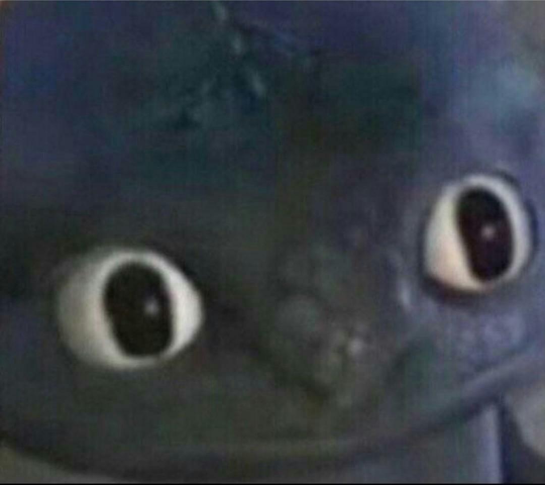 fetus_magic's tweet photo. Flies are fucking horrible
I was chilling, making flapjacks, and I turned away for one second to get a cover and the motherfucker was crawling with its nasty lookin face and weird legs all over my flapjack!
and I turned around and was like https://t.co/4RQkID2hcH