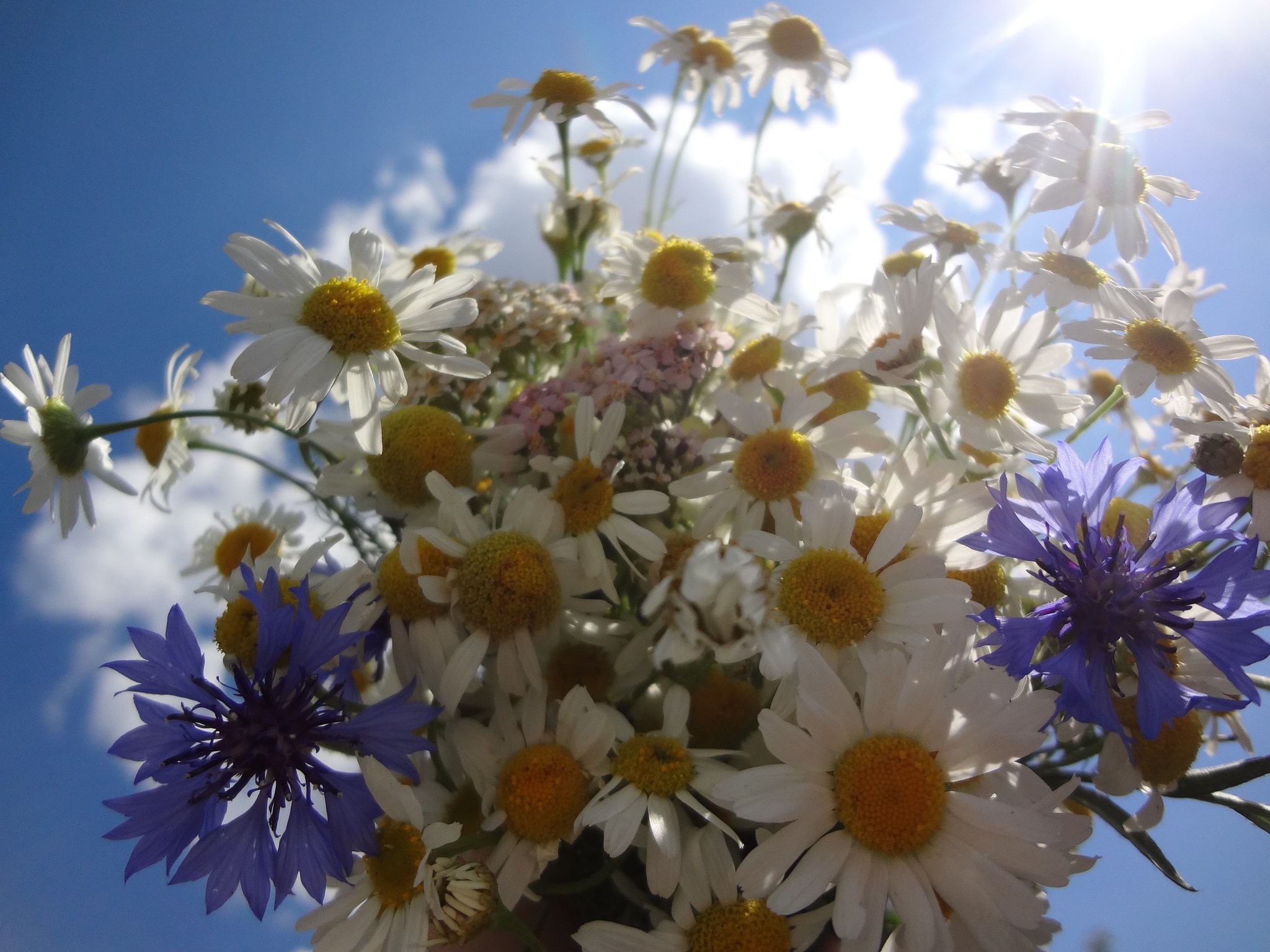 EcoqZBxX0AAeesM.jpg:large