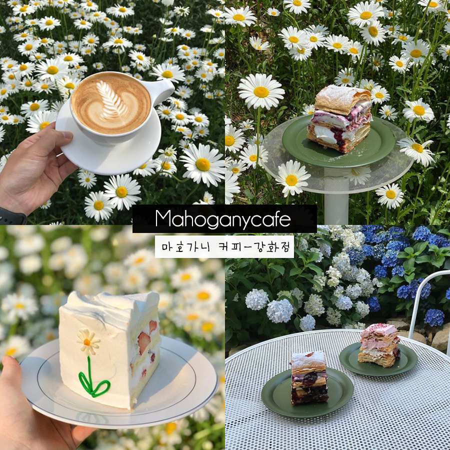 #เซฟไว้ก่อนค่อยไปตาม #รีวิวเกาหลี #คาเฟ่เกาหลี
☕ Mahogany Cafe | คาเฟ่ในสวนบรรยากาศชิลๆนอกเมืองเหมือนอยู่ยุโรป Mahoganycafe by Dore Dore สาขาคังฮวา
ร้านตั้งอยู่บนเกาะคังฮวา ไม่ไกลจากเมืองอินชอน
(🌙) https://t.co/fer5iQqKjP
🚇 แผนที่ร้าน :
https://t.co/bKRnbKha3c
. https://t.co/DP3WVHp3Hi