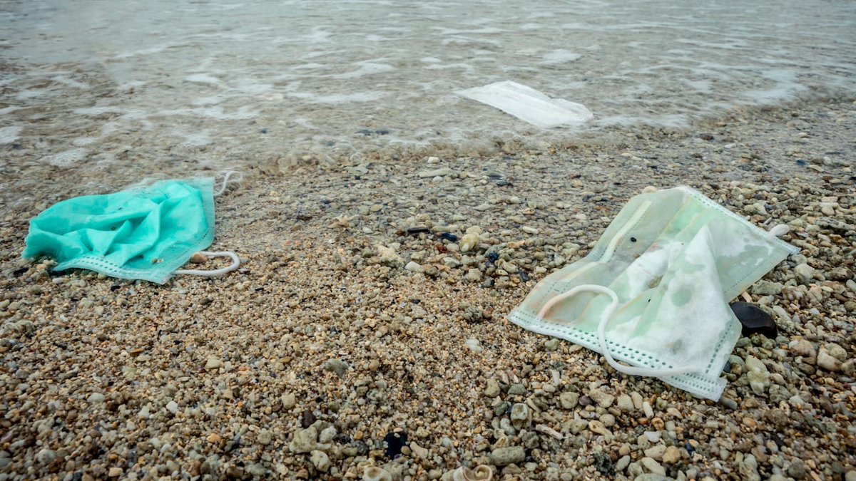 Ximo Puig tweet media