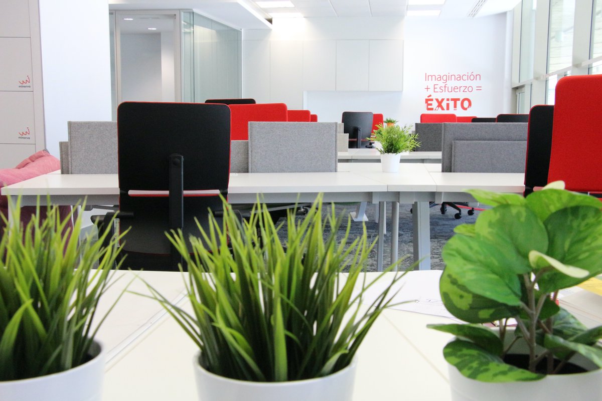 ¡Atención, #emprendedores! 📣 Lanzamos la 8ª edición de aceleración para #startups el próximo 15 de septiembre. 

Buscamos #proyectosTIC en Andalucía que desarrollen soluciones y productos innovadores 💡 

cc <a href="/VodafoneEmpresa/">Vodafone Empresas</a> @EconomiaAnd 

Más info ⏩ programaminerva.es/convocatoria20…