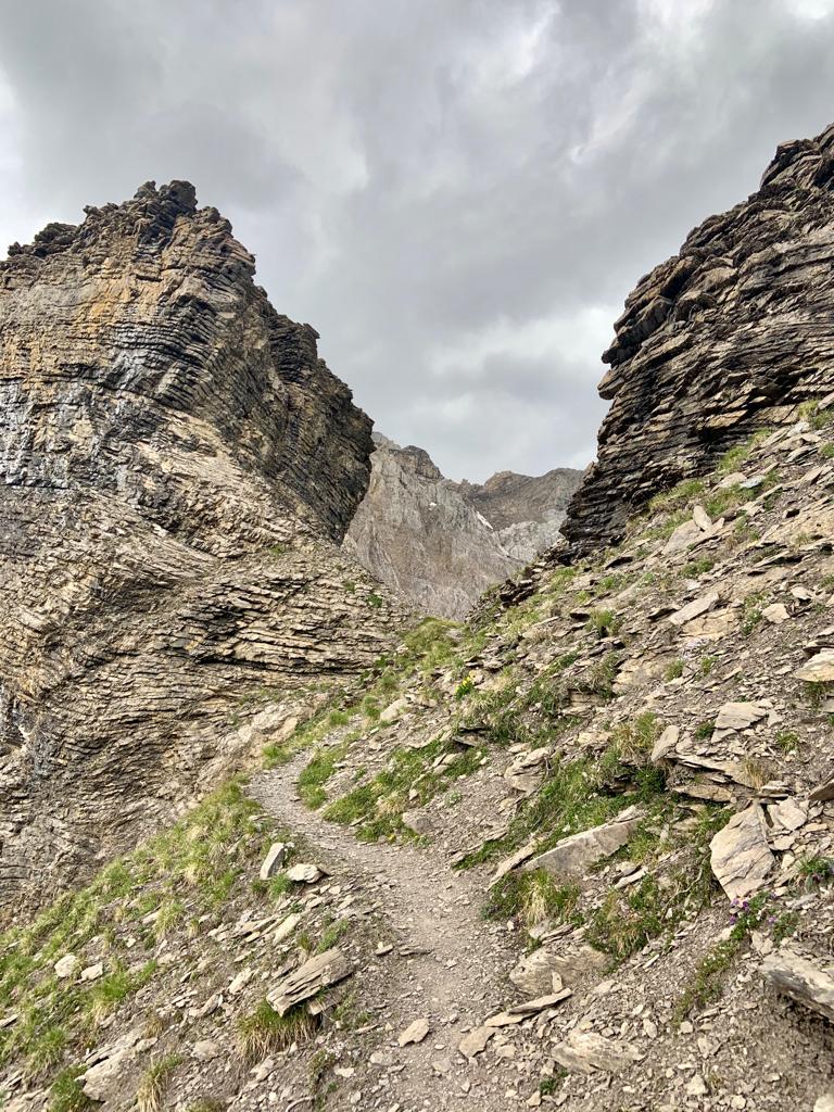 DefiParkinson's tweet photo. Follow Yves' journey of Facebook

https://t.co/PdFyH9AOIG

@epflSV @LashuelLab @ORCAProd @parkinson_ch
#Parkinson #Parkinsons #challenge2020 https://t.co/dvoEirtRC4