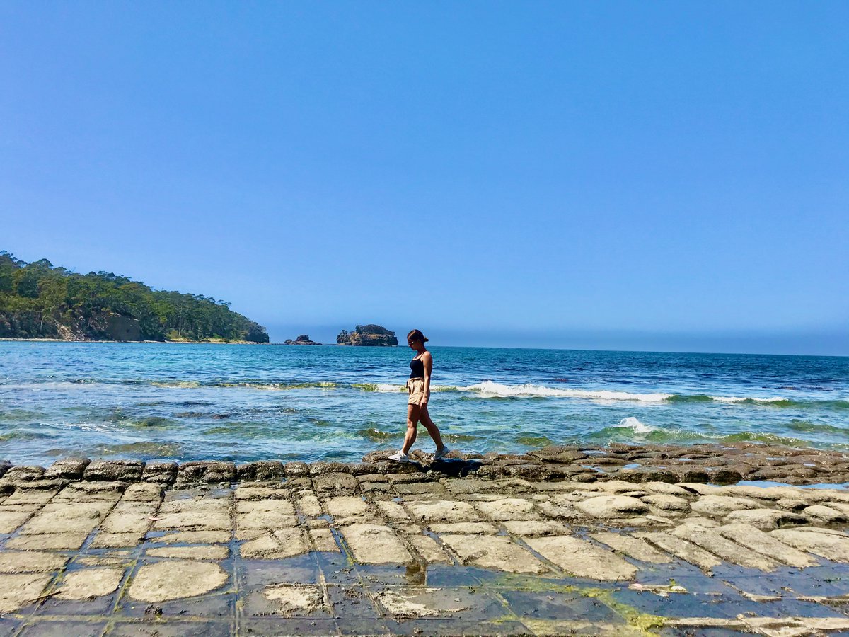thepathitravel's tweet photo. Primera parada en el road trip por Tasmania: #TessellatedPavement 💫Comenzamos nuestro viaje desde Hobart. Desde allí, nos esperaba una hora de viaje hasta llegar a nuestra primera parada, una maravilla de la naturaleza. Las formaciones de la roca son impresionantes! #Tasmania
⠀ https://t.co/TT5LR2NPtU