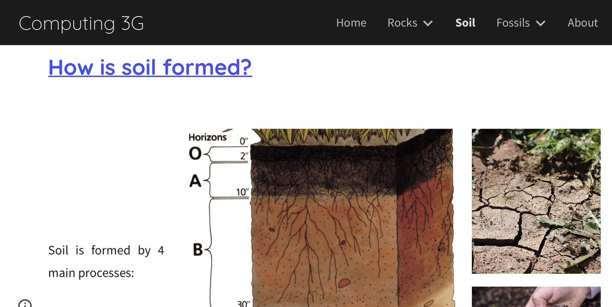 CCJacademy's tweet image. Georgia in 3G has started her own #GoogleSite filled with information on different types of rocks, soil and fossils. We’re all very impressed with both her scientific knowledge & her digital skills. Well done!
#LEODistanceLearning 👩🔬 💻 ⬇️
sites.google.com/leoacademytrus…