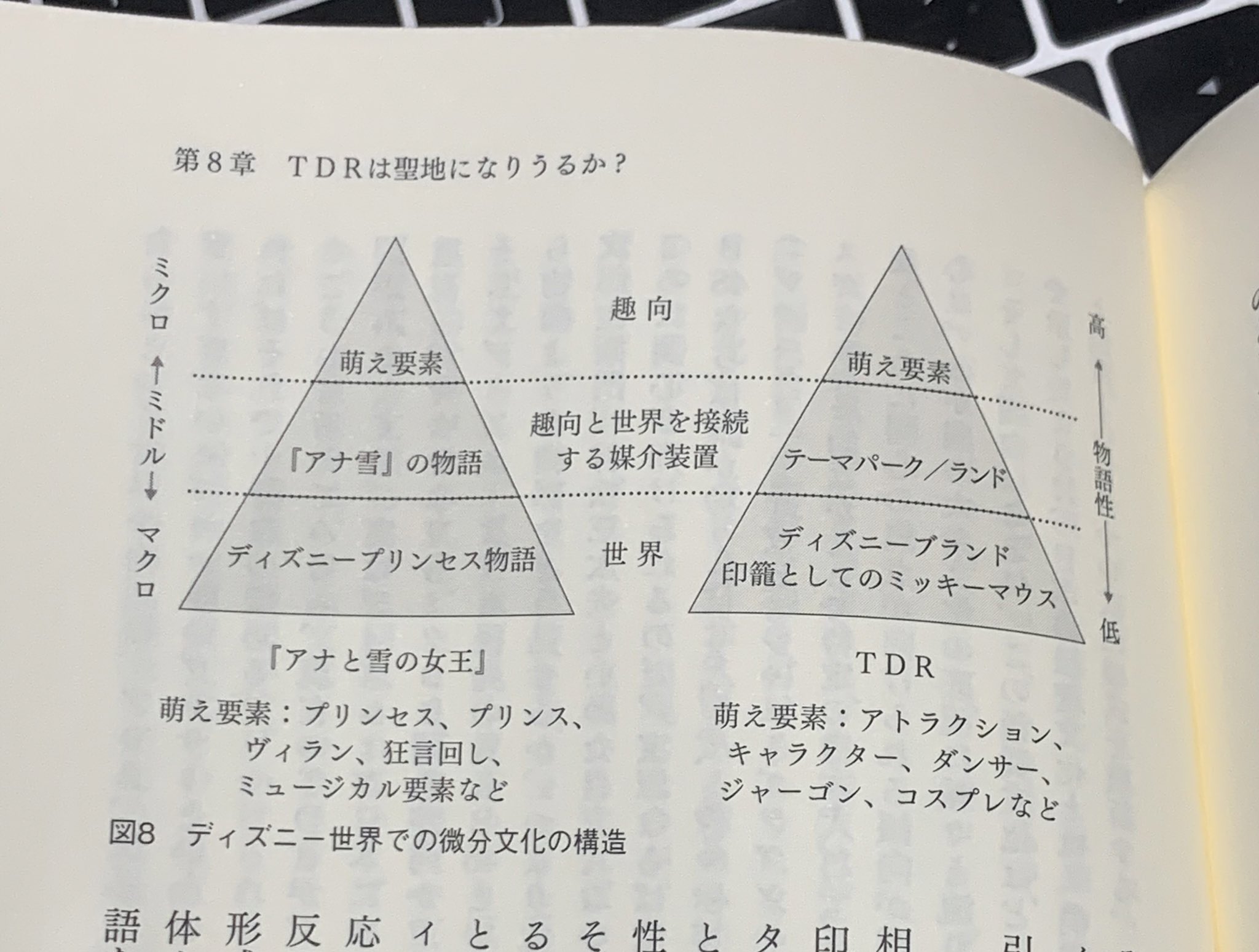 Westergaard Frozenとcarsの人 Su Twitter 別件で読み返していた新井さんの ディズニーランドの社会学 にfrozenの議論が出てたのを再度読み返してたのでメモ ヒットの要因は それぞれのお気に入りの細部に 萌えた 結果 という分析 マクロ ディズニープリンセス