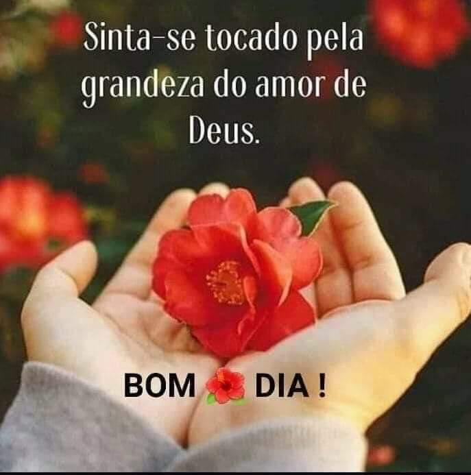 Ana Andrade on Twitter: Ana Andrade on Twitter: