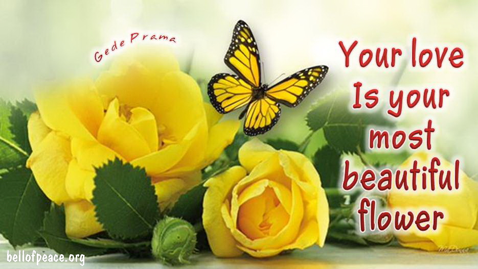 peace, peace, peace tweet media