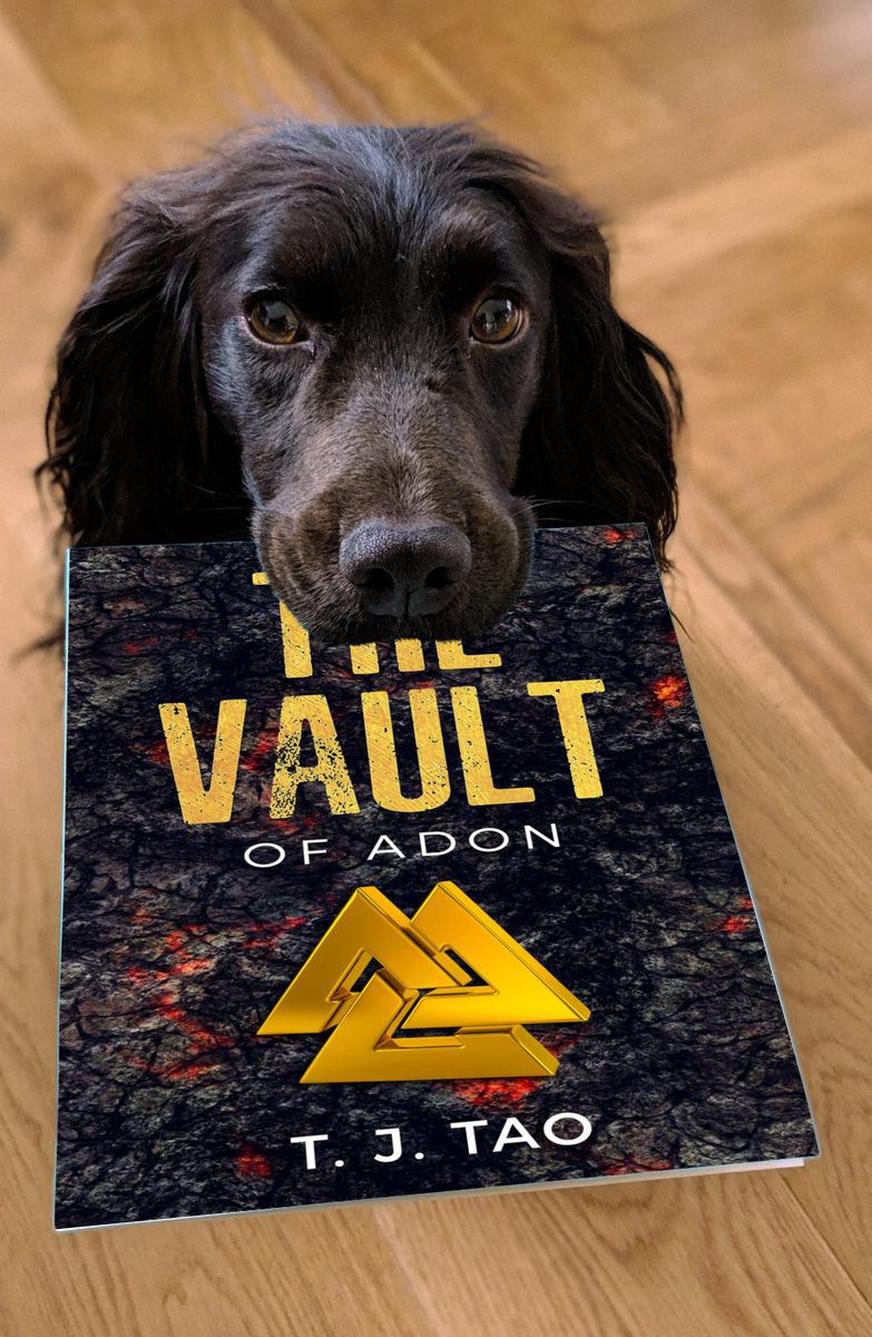 TJTaoBooks's tweet photo. https://t.co/53HCKRnrRw
An earthquake.
A kidnapping.
A treasure trove of ancient weapons.
A madman who claims to be a god.
Governments cave, innocents run.
Can a Traveler, an Archaeologist, a young girl, and a few friends stop him?
Or is this humanity’s end? https://t.co/BG8sqcAbAz