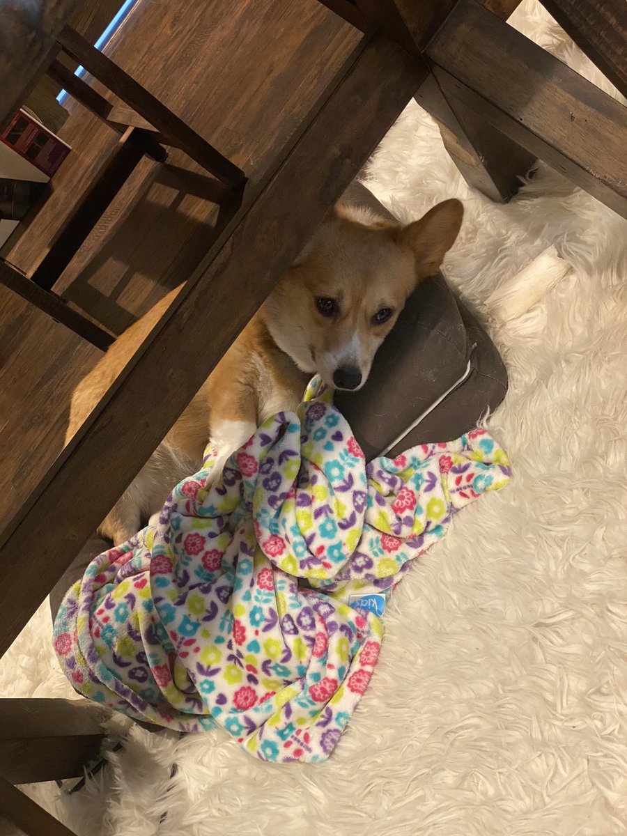 Mr. Fruit tweet media