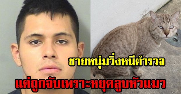 อันนี้คือข่าวในตำนานจริงๆ ขำมาก555555