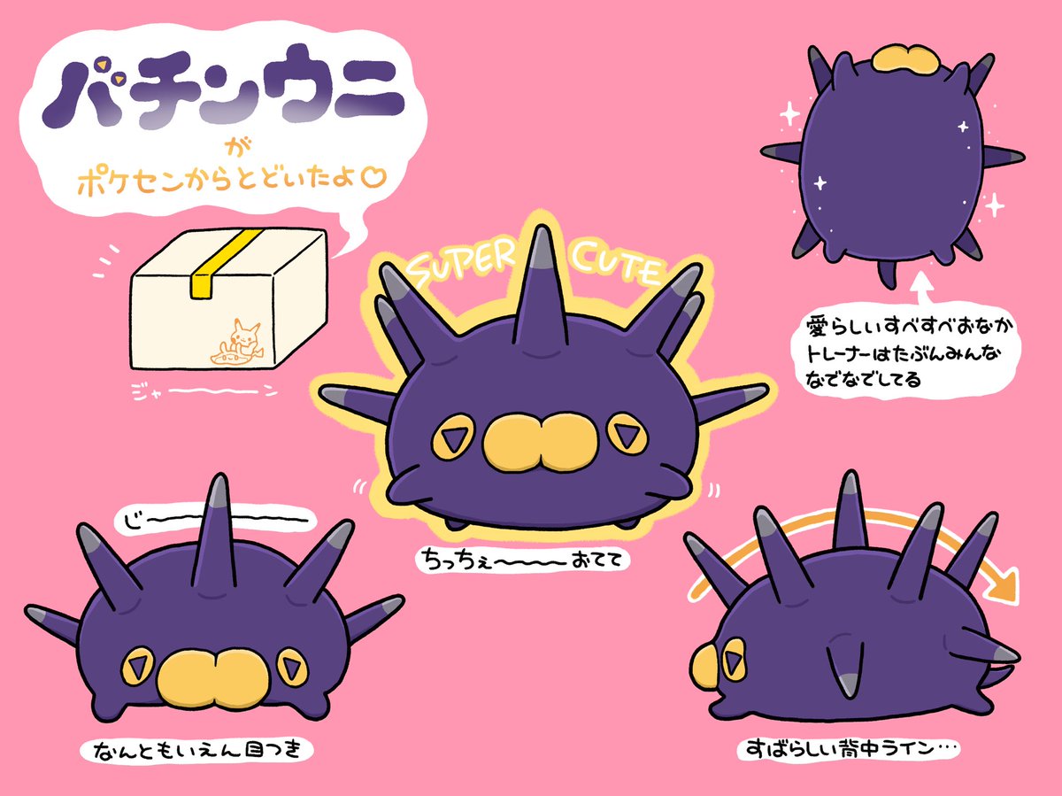 神からの贈り物届いたわよ 訳 オンラインで予約購入したバチンウニのもっちりぬい うやむやのイラスト