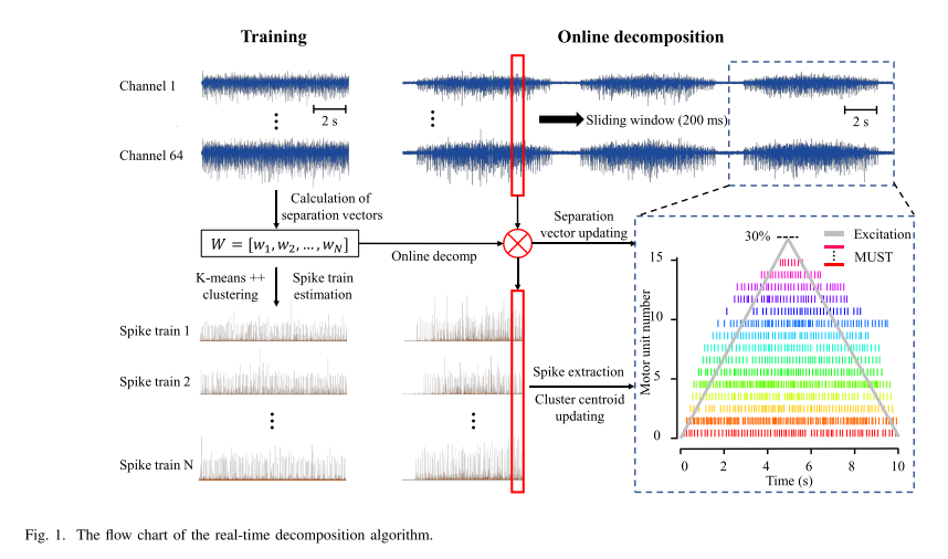 [26/27] #RealTimeNeuralInterfacingIn fact, a real-time decomposition method for the identification of MU discharges from HD-EMG signals in dynamic contractions has recently been proposed https://ieeexplore.ieee.org/document/9075399?denied=