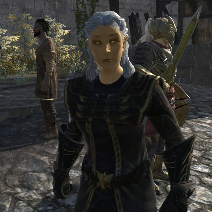 UESP_net's tweet photo. Justiciar Aranande: "I'm beginning to suspect you are deliberately trying to waste my time."

Champion: "I'm not."

--The protagonist from The Elder Scrolls: Blades, an agent of the Blades, deliberately wasting the time of the local Thalmor forces. https://t.co/m3a562dRyL