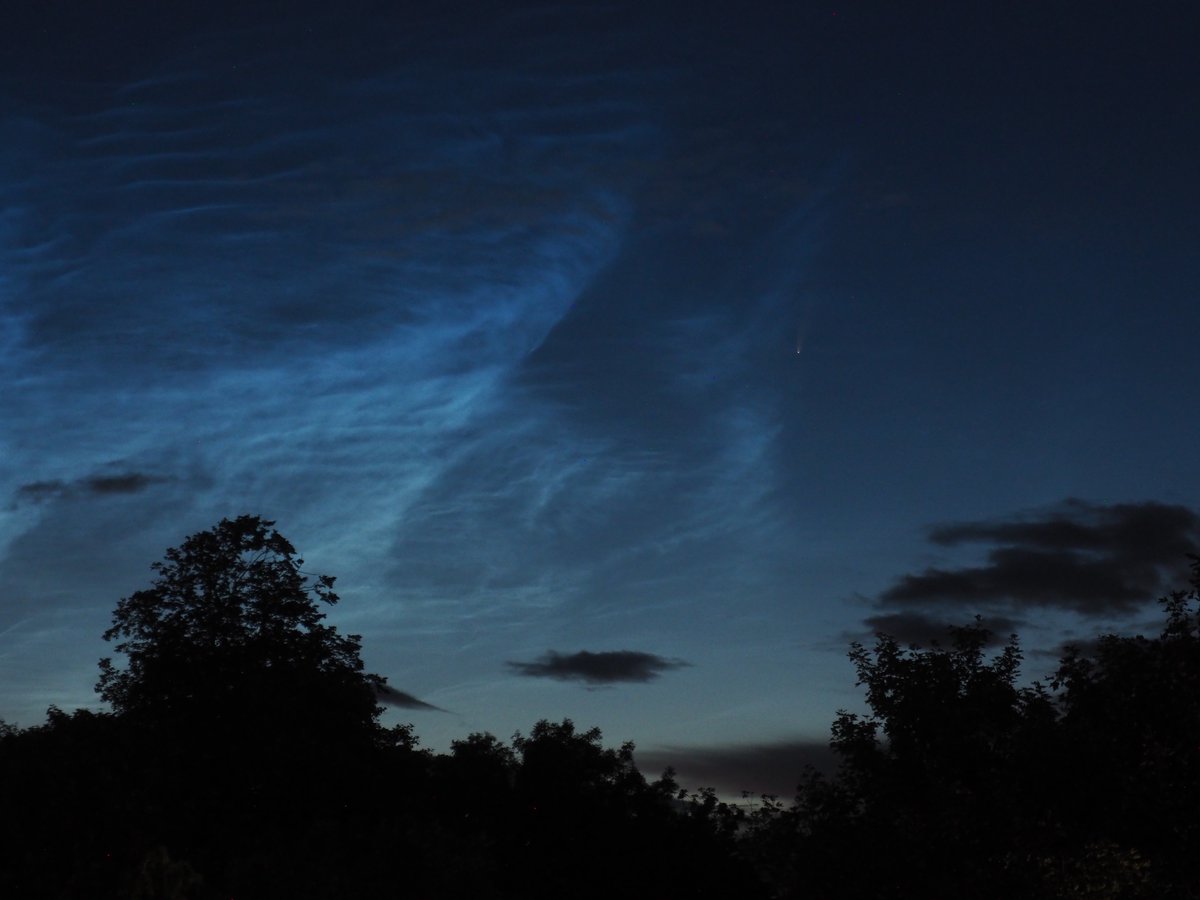 Carey Davies tweet media