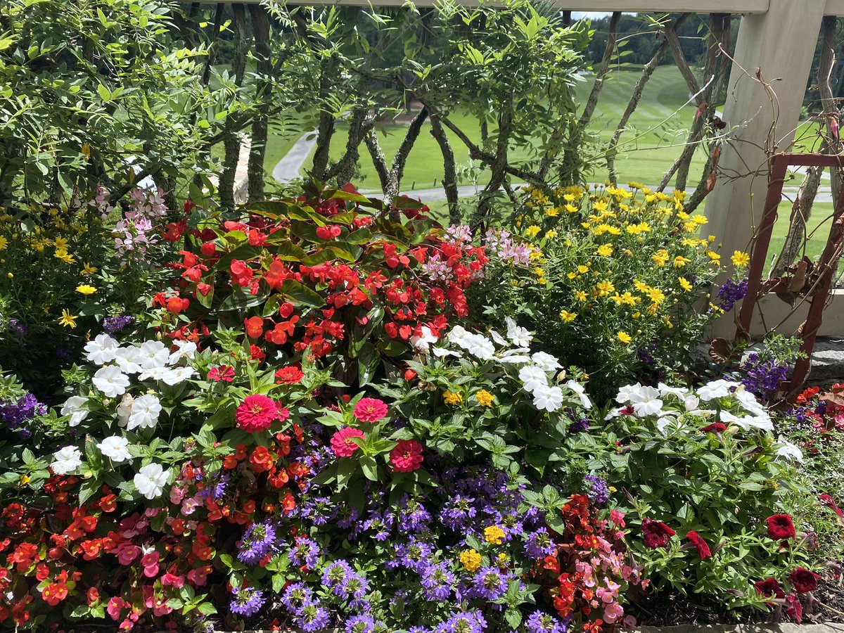 Mike Flaskey tweet media