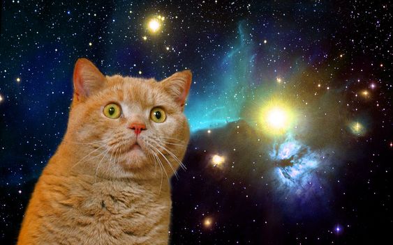 メルクマ 宇宙猫 宇宙写真は 著作権フリー 商用利用化のunsplashから取ってます