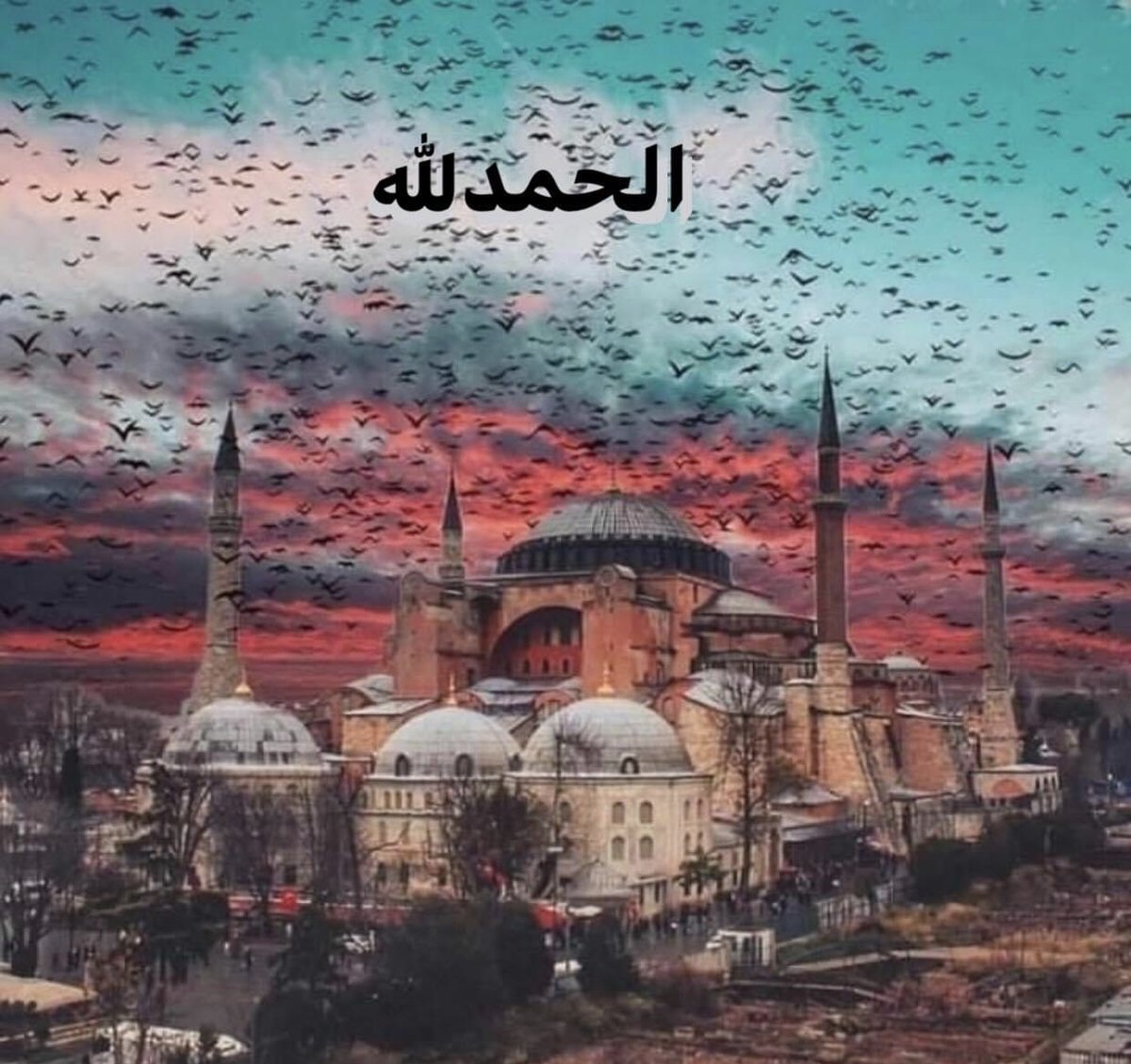 FATİH İNCİLİ (@incili_fatih) on Twitter photo 