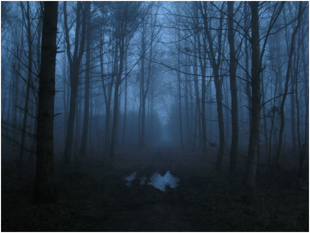 I tried to simplify it as much as possible (more solutions are available) & I also skipped many events & factors.Sadly the law of supply & demand was replaced by the law of the jungle."Ade el dollar lyom?" will never have a specific answer if things do not change.