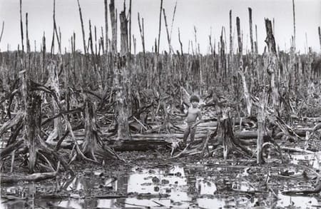 炭治郎 風の谷のナウシカ は例えばベトナムでのアメリカによる枯葉剤散布も背景の1つです 宮崎駿 映画 ナウシカ T Co Kumdttja8d Twitter