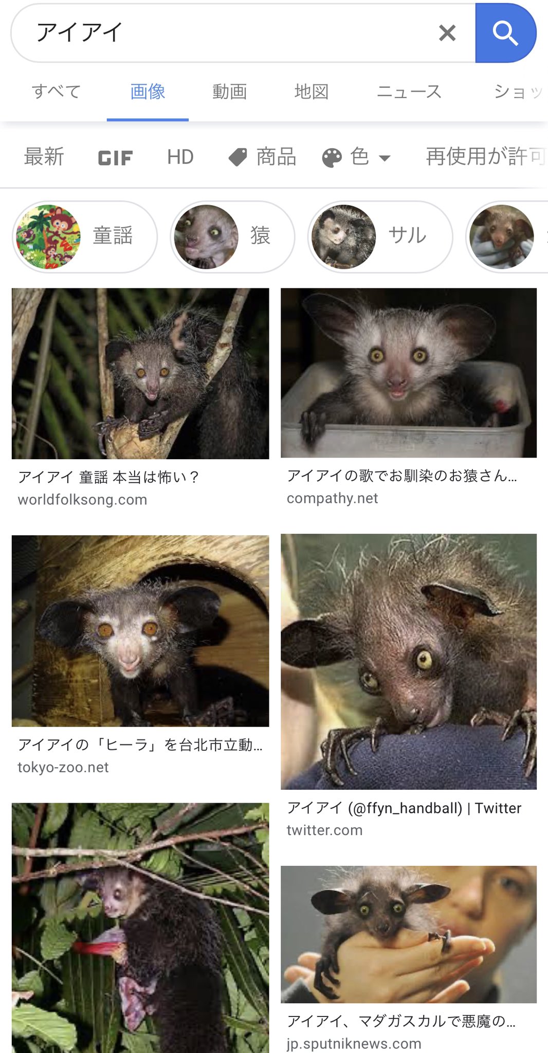 تويتر Trw ちゅーい على تويتر アイアイ 原住民が悪魔の使いと呼ぶ原猿 コロナ終息したら上野に見に行ってみたいな T Co Jnldbbkp1x