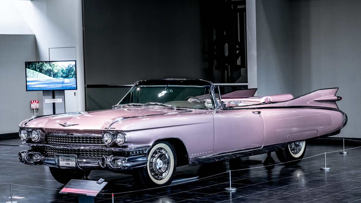 Y T Photographer キャデラックエルドラド かっちょええかね 1959年 キャデラックエルドラド Cadillaceldorado キャデラック Cadillac ピンクの車 ゼネラルモーターズ Generalmotors アメ車 車 Car 旧車 クラッシックカー Classiccar