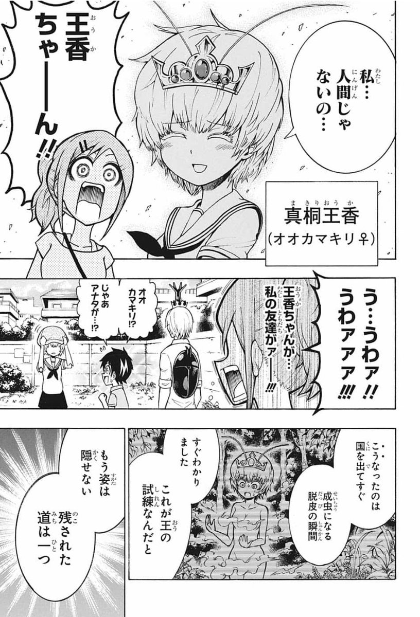スシと読む週刊少年ジャンプ年32号 Wj32 電子版限定短期連載 稲岡和佐 ブンキテン 読切 春原ロビンソン 八人忍者の最終試験 6ページ目 Togetter スシと読む週刊少年ジャンプ年32号 Wj32 電子版限定短期連載 稲岡和佐 ブンキテン 読切 春原ロビンソン 八人忍者の最終試験 6ページ目 Togetter