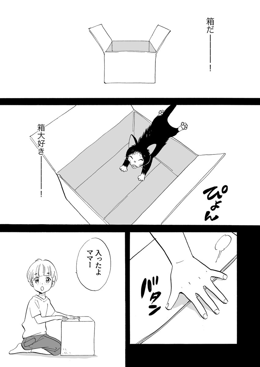 【マイロとクロンヌ】野良猫と飼い猫のマンガ【3話】(1/5) 