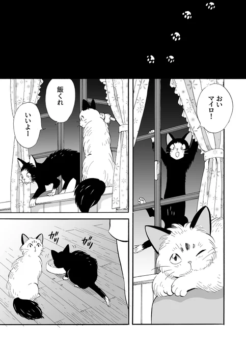 【マイロとクロンヌ】野良猫と飼い猫のマンガ【3話】(4/5) 