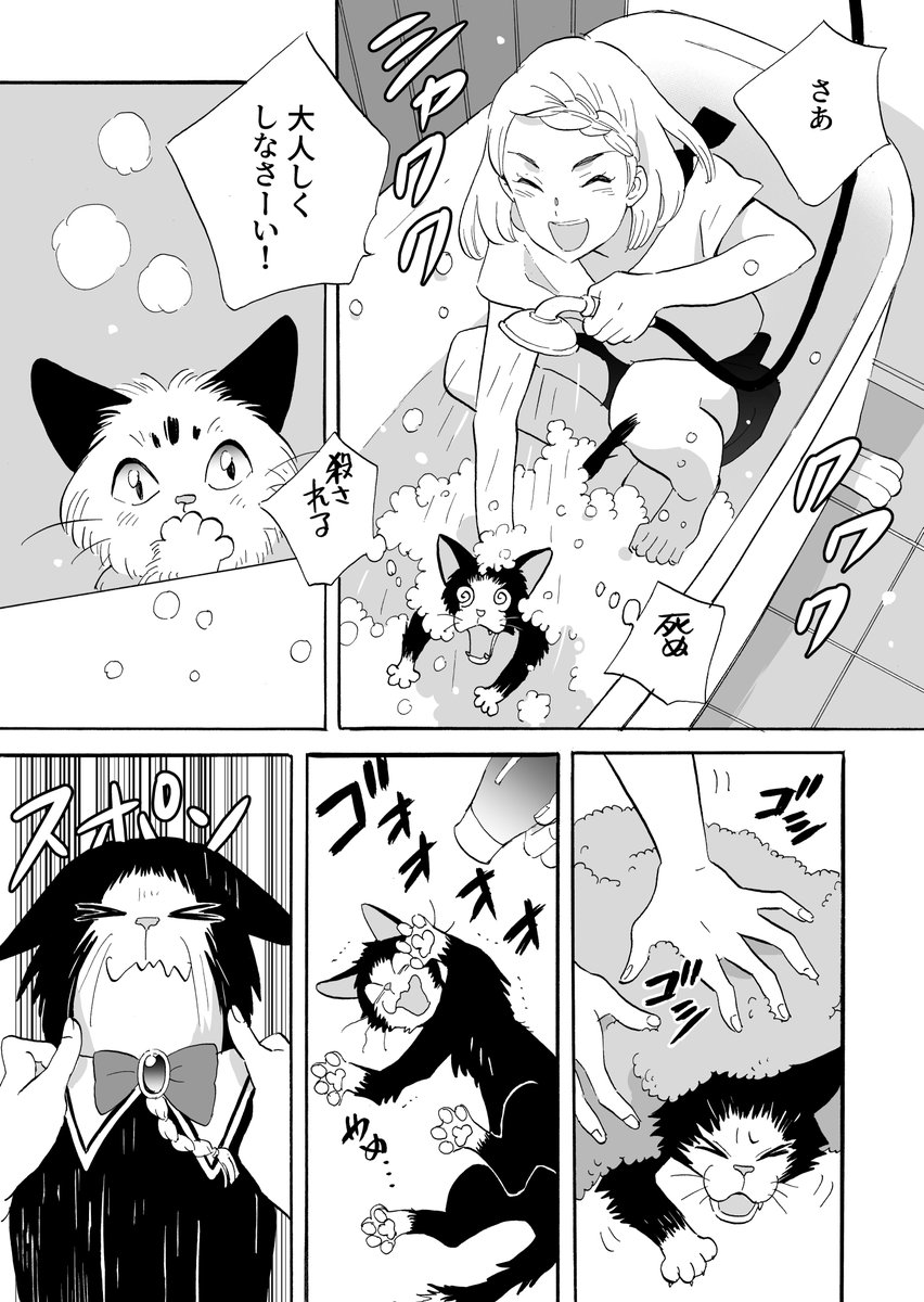 【マイロとクロンヌ】野良猫と飼い猫のマンガ【3話】(4/5) 