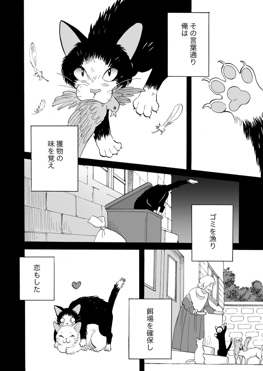 【マイロとクロンヌ】野良猫と飼い猫のマンガ【3話】(3/5) 