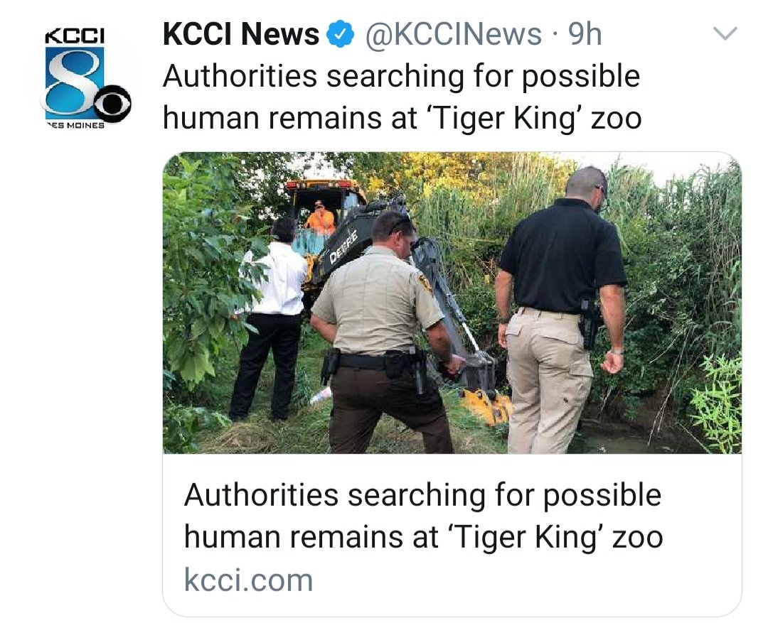 Matt Schultz tweet media