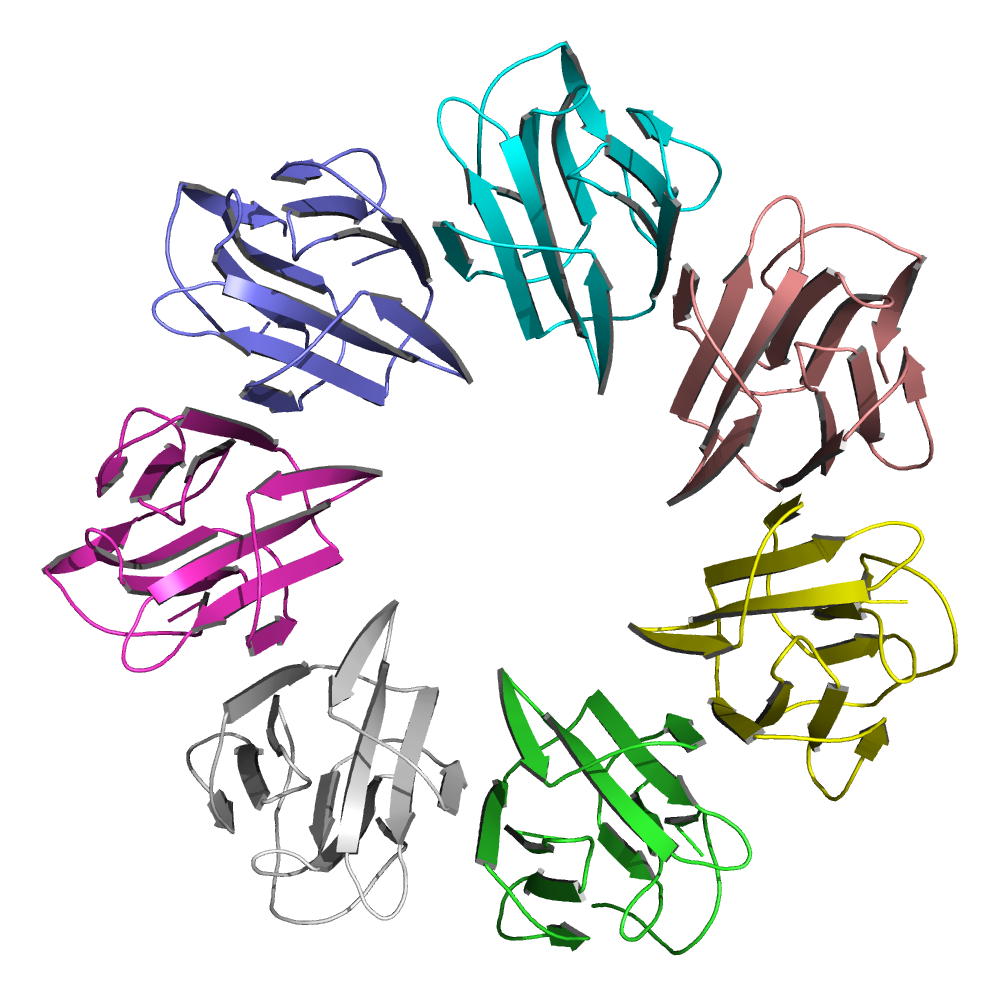 SivajiNukathoti's tweet photo. Proud to share Our latest work on the first crystal structure of an archeal lectin published in Glycobiology.
#glycotime 
Unusual and beautiful heptameric B-prism I fold lectin.
https://t.co/yM3v9ZftCy https://t.co/u3sQFMUn2I